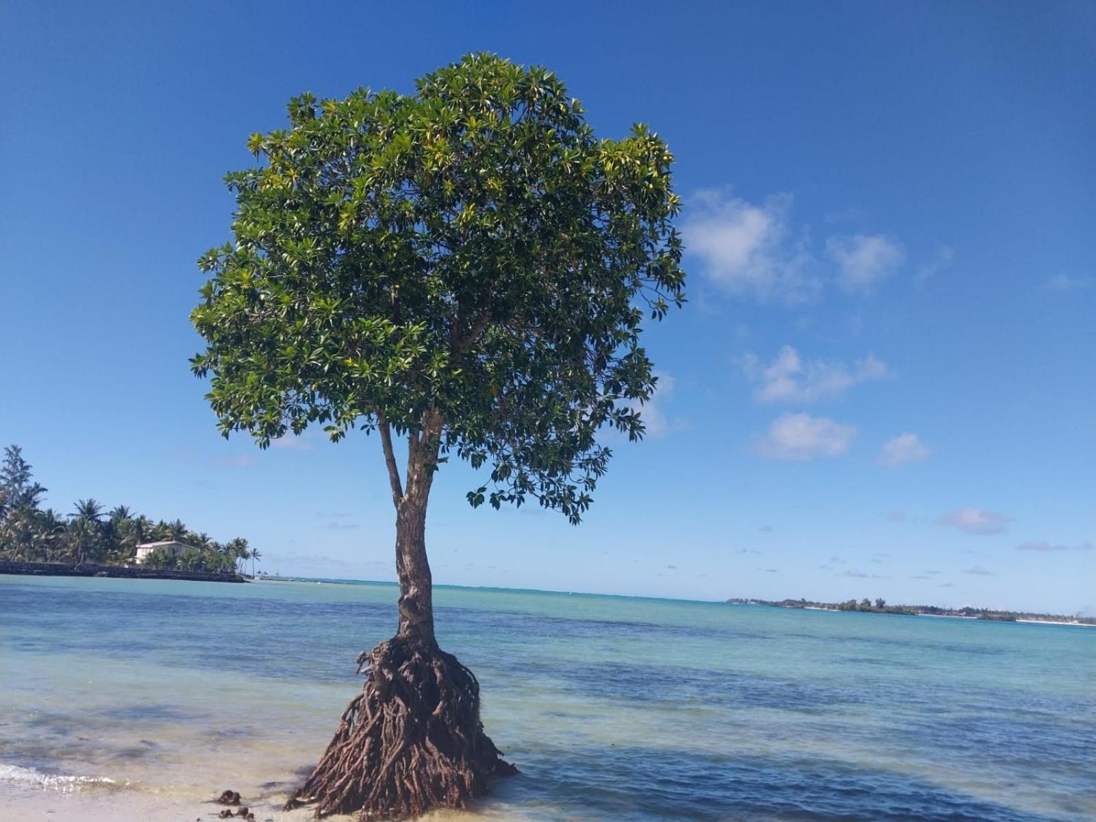 Sunshine Residence Holiday Apartments Mauritius Пост-Лафайет Экстерьер фото